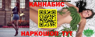 мдпв Ипатово