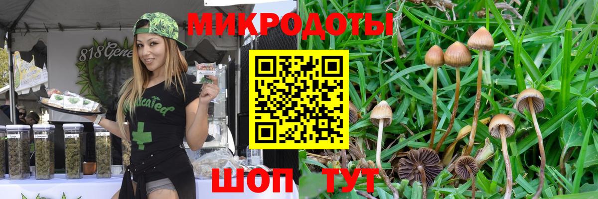 Псилоцибиновые грибы Psilocybine cubensis Избербаш